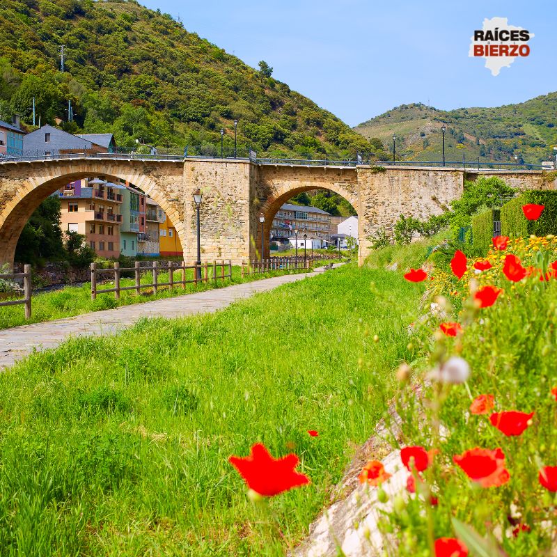 La Comarca del Bierzo