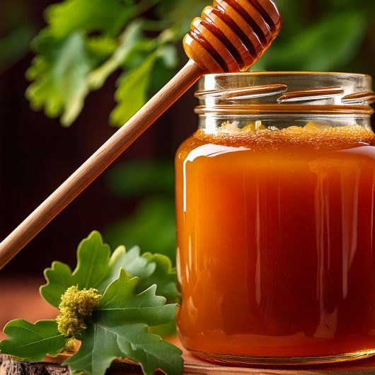 Miel de Roble – Raíces del Bierzo